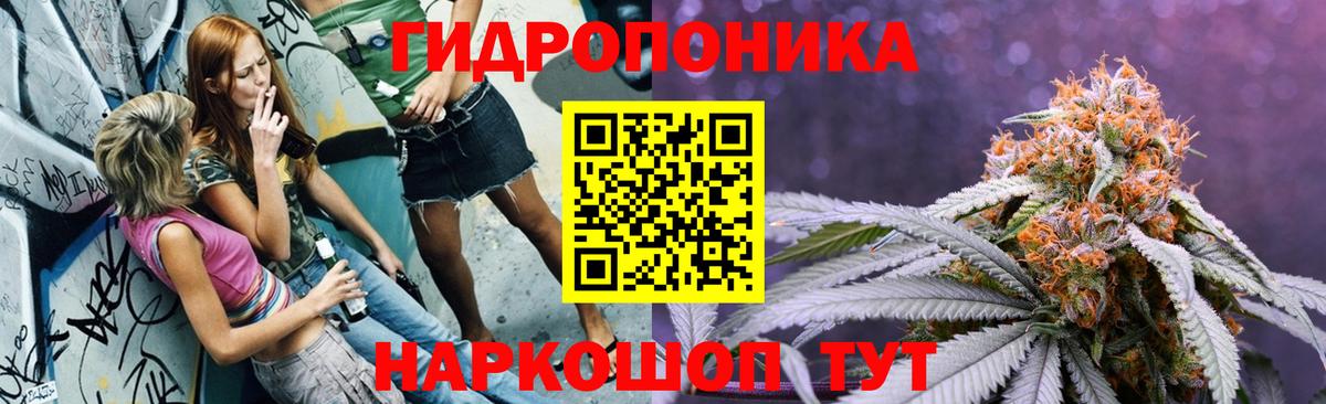 Конопля тримм  МАРИХУАНА OG Kush  Вход с VPN  Всеволожск  Бошки марихуана Ganja  Марихуана план 